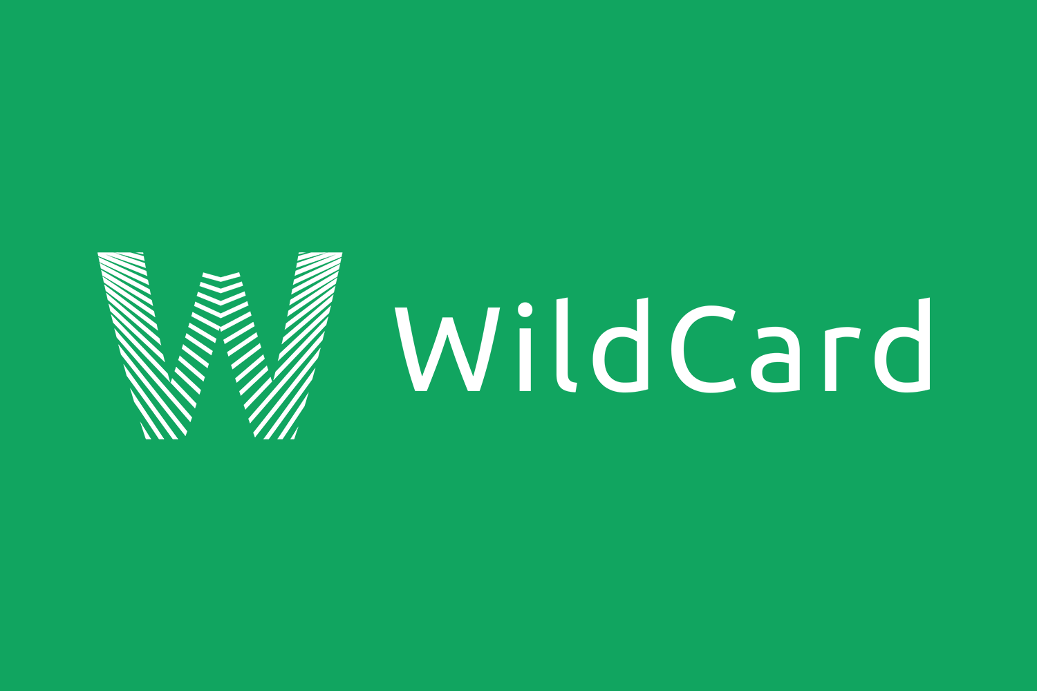野卡 WildCard