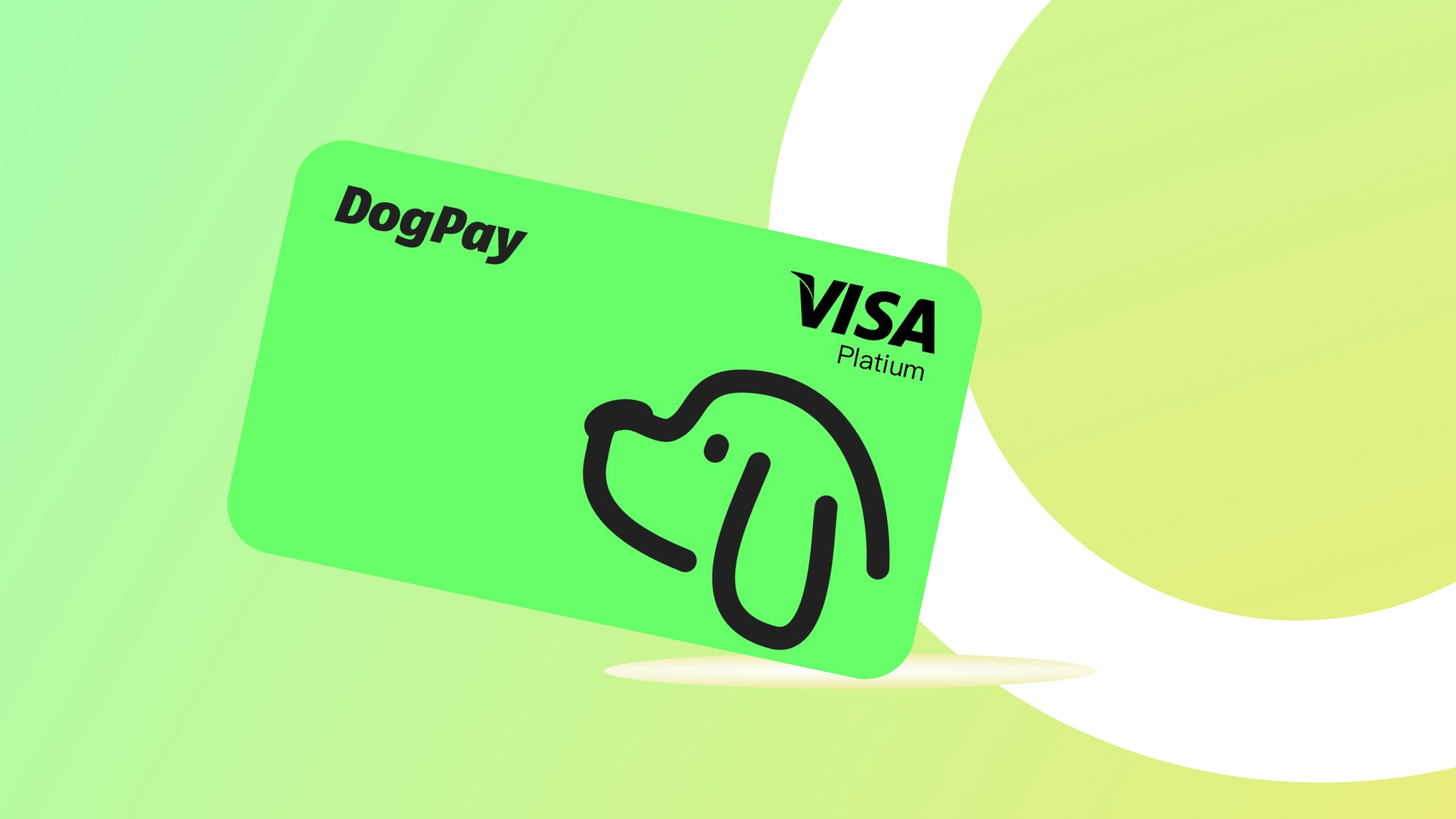 DogPay 虚拟信用卡 DogPay Card